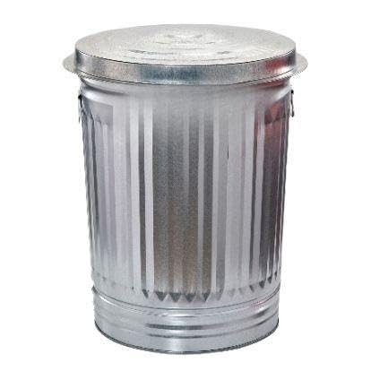31-Gallon Galvanized Steel Trash Can with Lid S468077