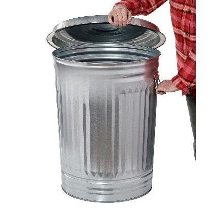 31-Gallon Galvanized Steel Trash Can with Lid S468077