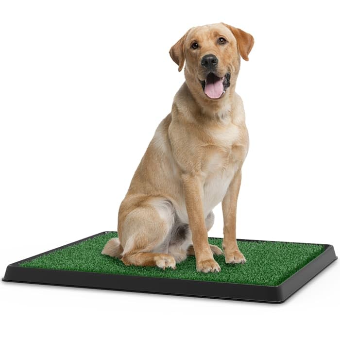 Artificial Grass Potty Trainer Mat 20" L X 25" W S5717