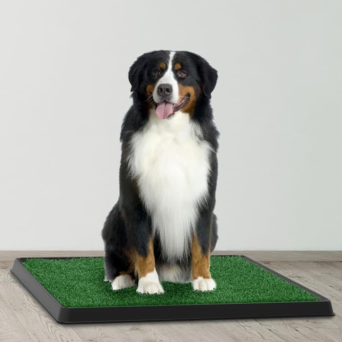 Artificial Grass Potty Trainer Mat 20" L X 25" W S5717