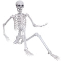 5.4ft Posable Full Body Skeleton B1782