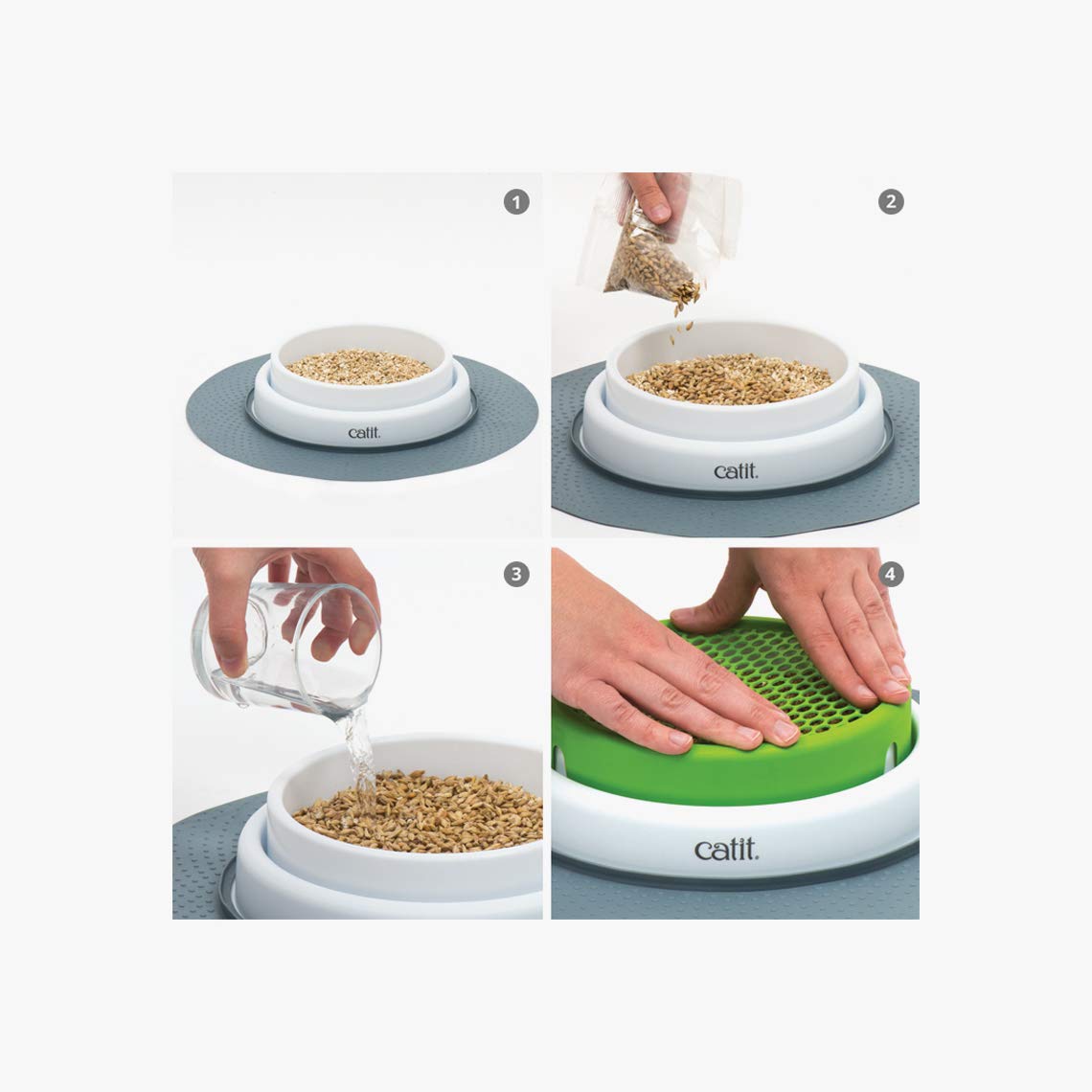 Cat Grass Seeds Set of 3 P2297