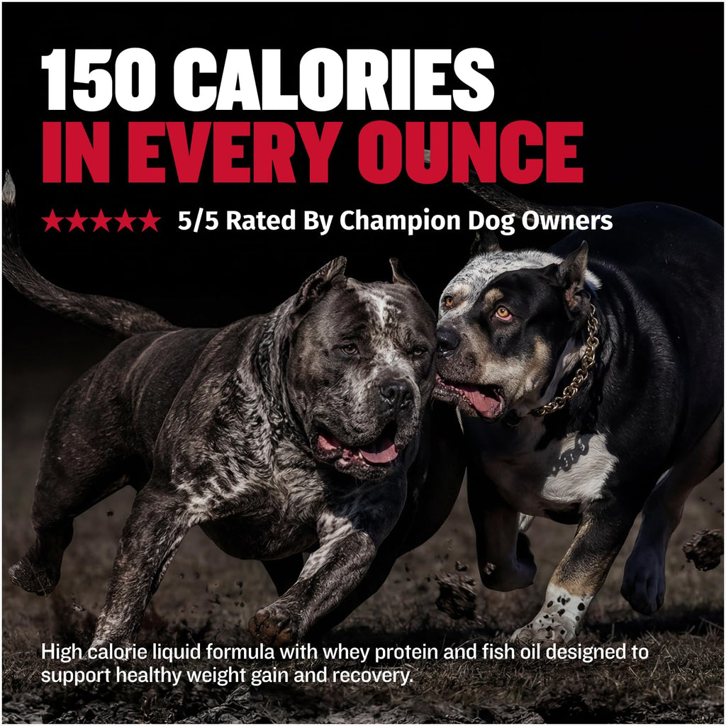 High Calorie Liquid Dog Supplement with Omega-3 & Whey Protein 16 oz K276628