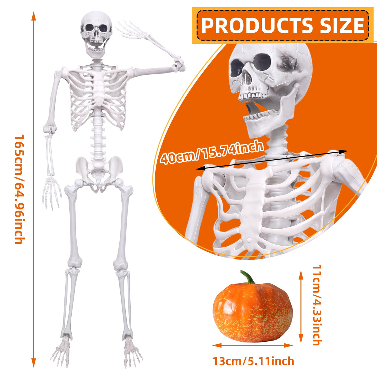 5.4ft Posable Full Body Skeleton B1782