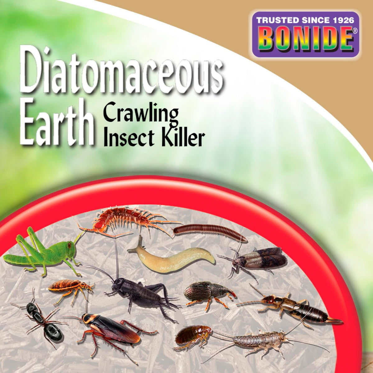Diatomaceous Earth Crawling Insect Killer 5 lbs G311434