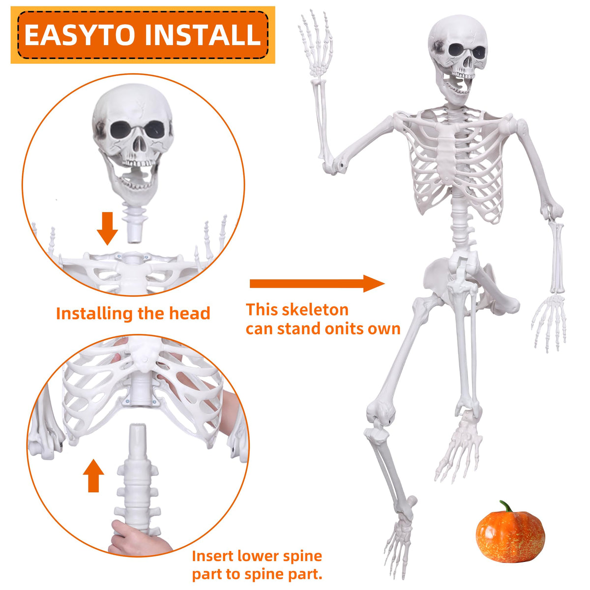 5.4ft Posable Full Body Skeleton B1782