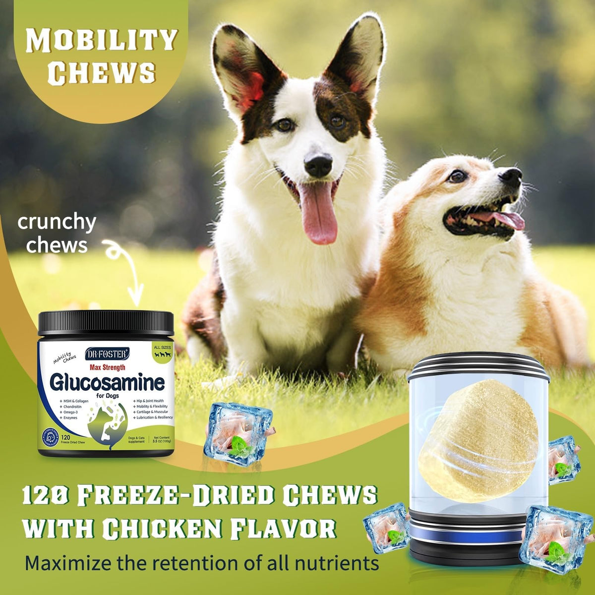 Glucosamine for Dogs Chicken Flavor 120 Freeze-Dried Chews E788