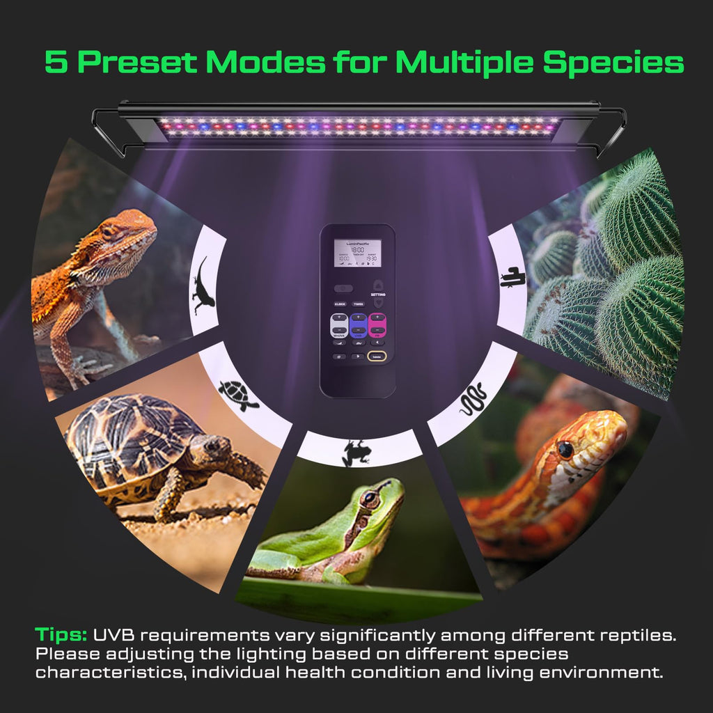 8-Inch UVB Reptile Light Fixture C343