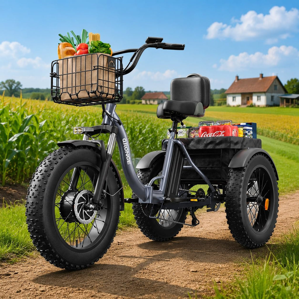Electric Tricycle for Adults 1200W 36V 20AH Fat Tire Folding Y351