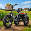 Electric Tricycle for Adults 1200W 36V 20AH Fat Tire Folding Y351