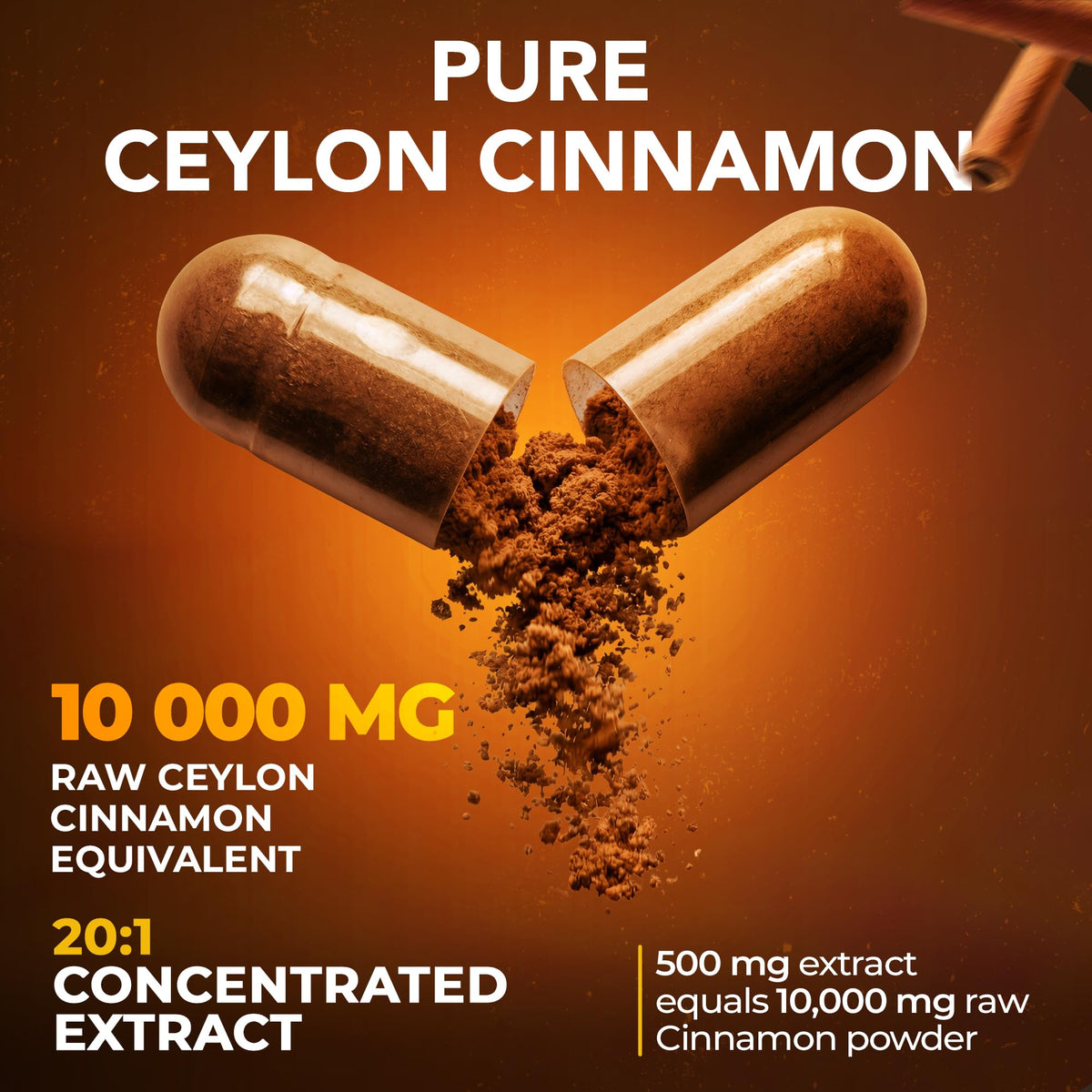 Cinnamon Capsules 500mg 60 Caps G226341