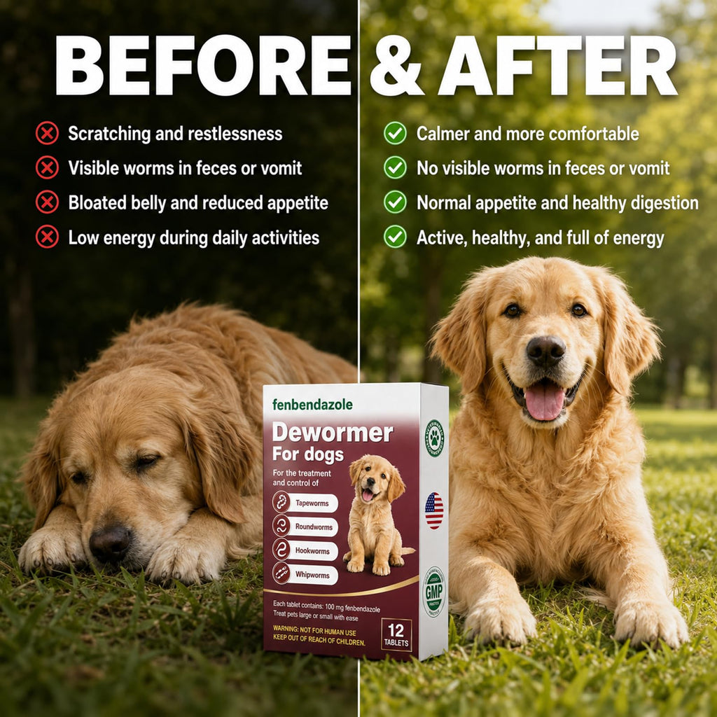 Dewormer for Dogs 12 Count D2890