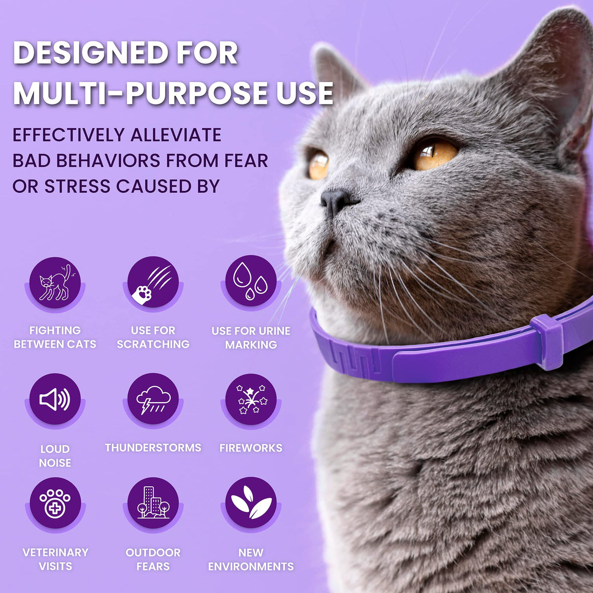 Purple Breakaway Calming Collar 4 Pack N684604