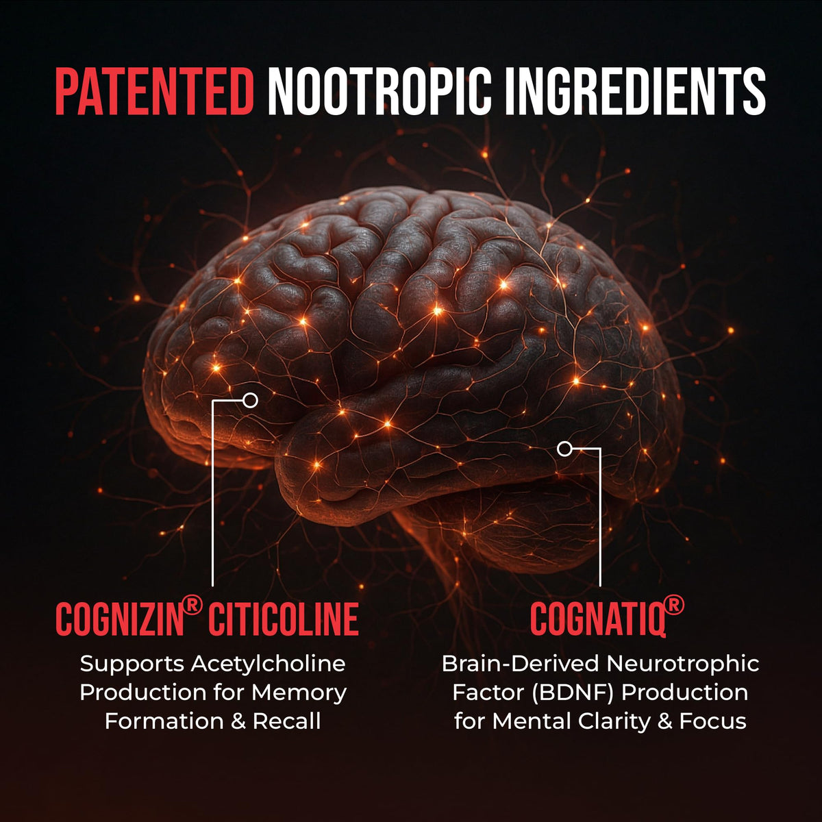 90 Capsules Nootropic Brain Supplement T8950