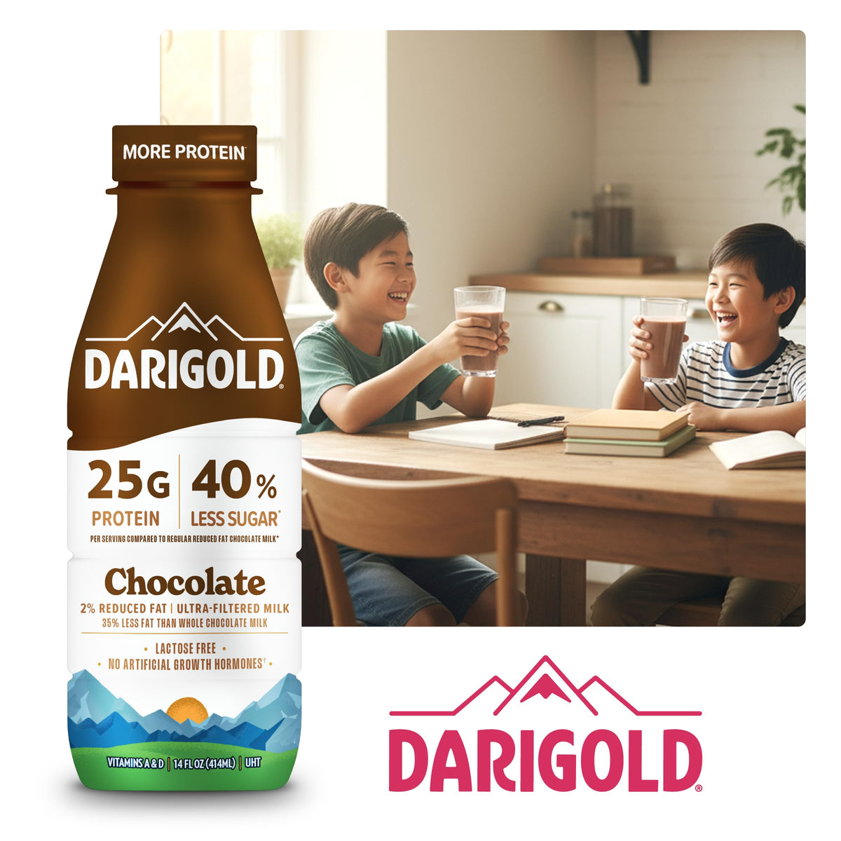 High Protein Chocolate Milk 14oz 12ct A850567