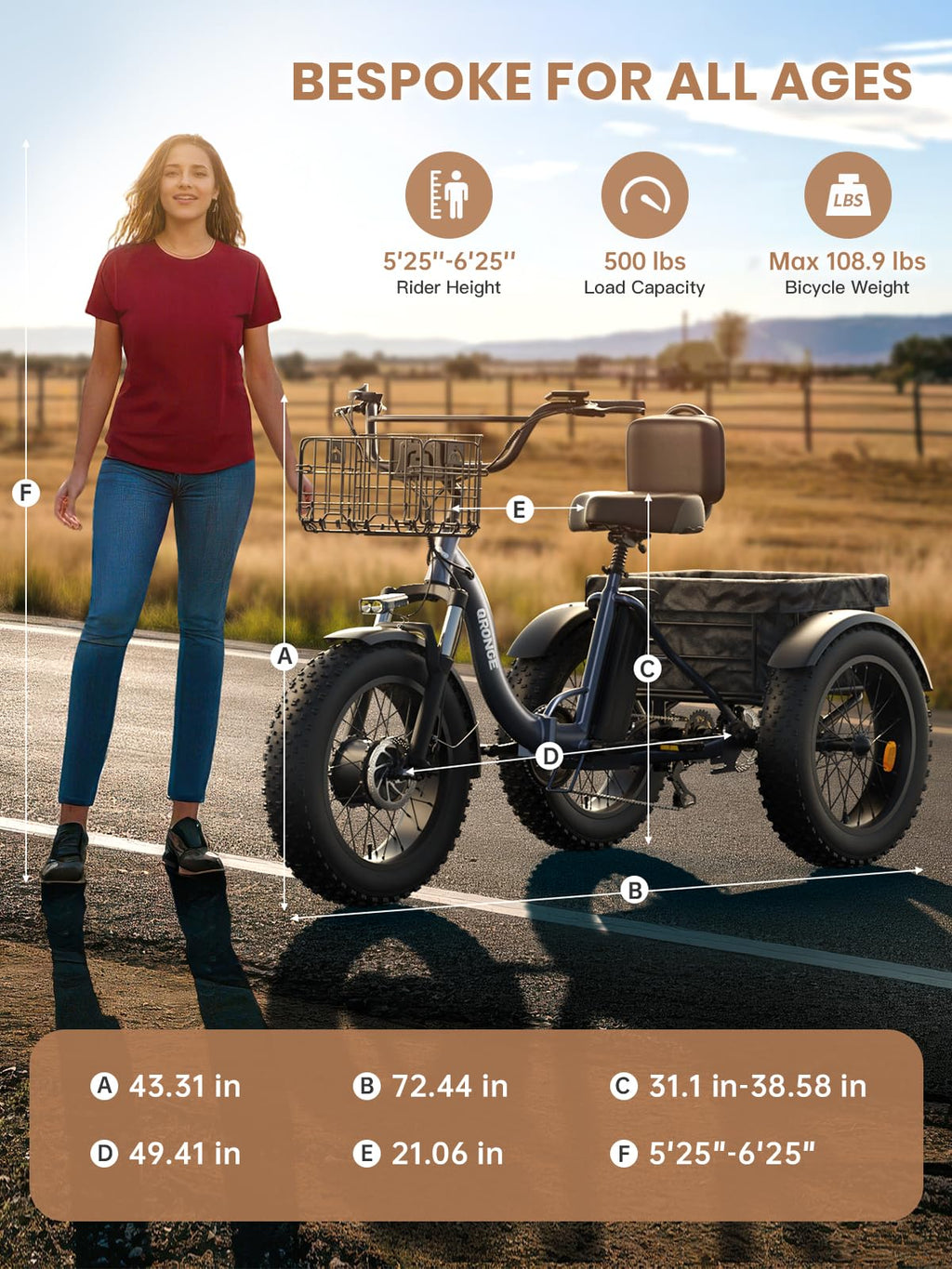 Electric Tricycle for Adults 1200W 36V 20AH Fat Tire Folding Y351