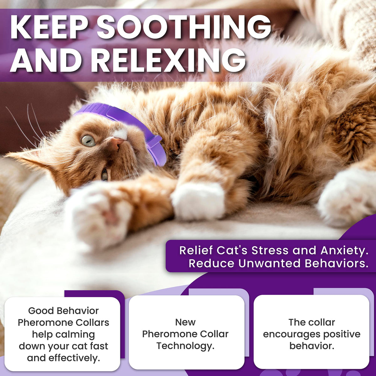 Purple Breakaway Calming Collar 4 Pack N684604