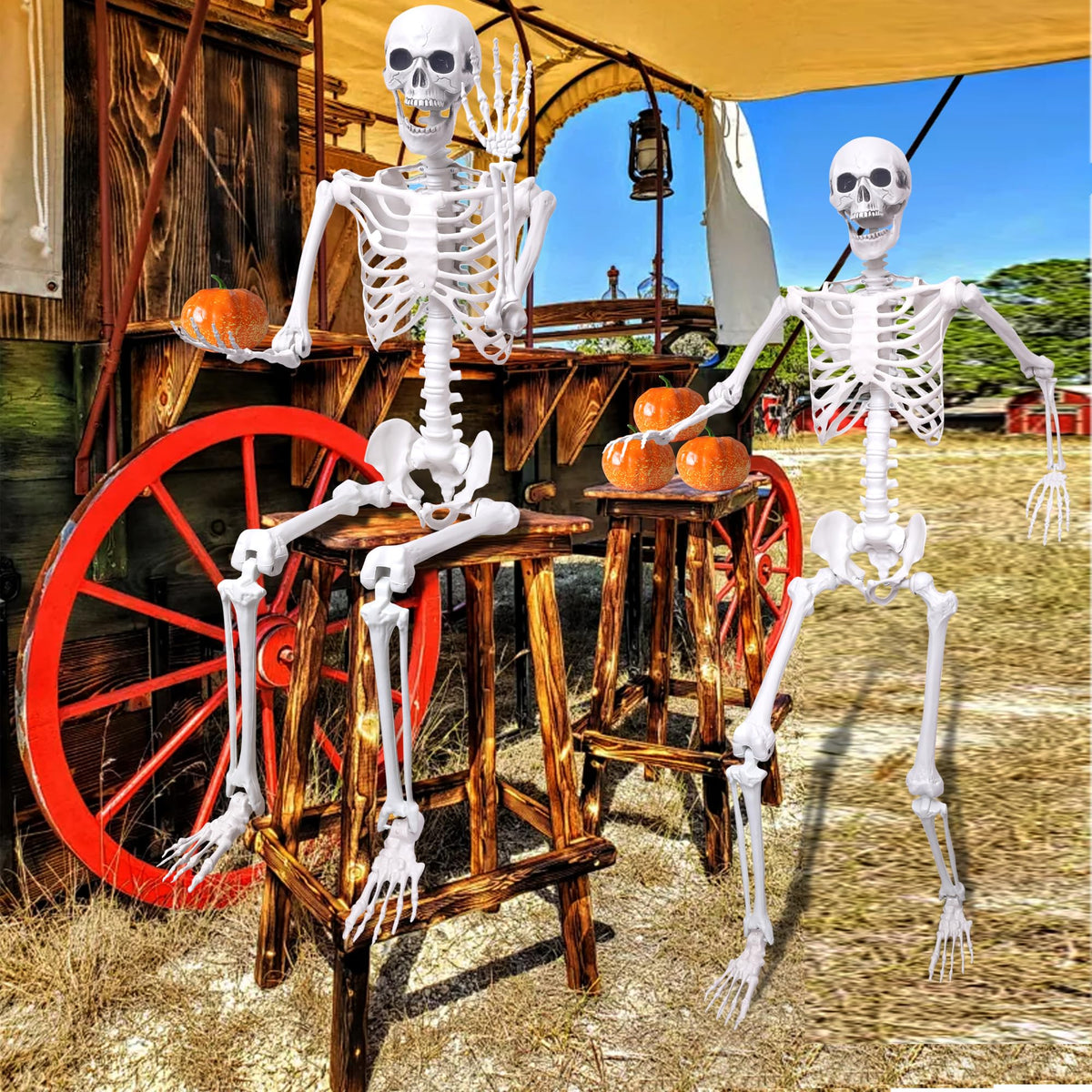 5.4ft Posable Full Body Skeleton B1782
