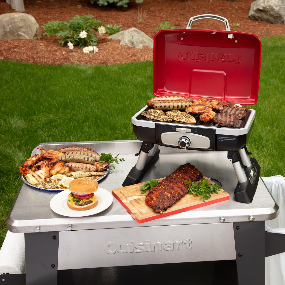 Portable Tabletop Propane Gas Grill & Refillable 1LB Propane Cylinder Tank S4393